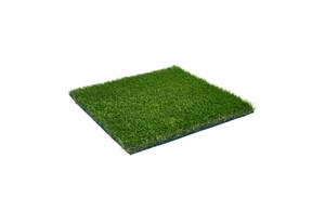 Oryzon Grass Elite Apple   Rasen